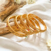 Guzarish Bangles l BN-59